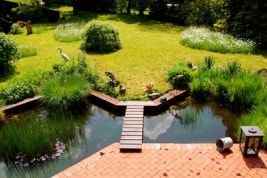 Einen Teich selber bauen - direkt an der Terrasse