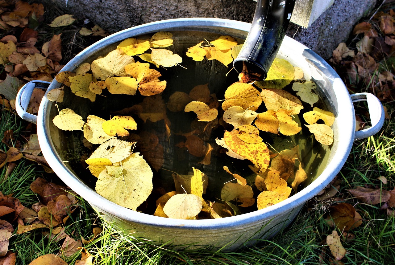 Regenwasser mit einer Zisternenpumpe verwenden