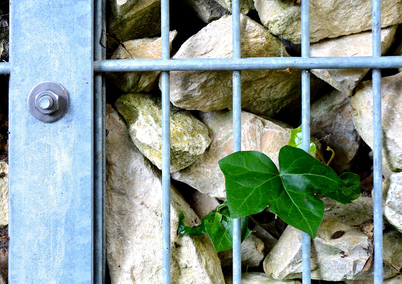 Gabionenzaun im Garten