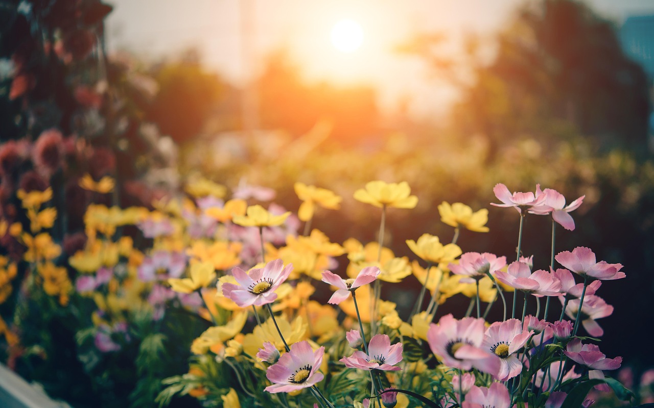 Garten verkaufen