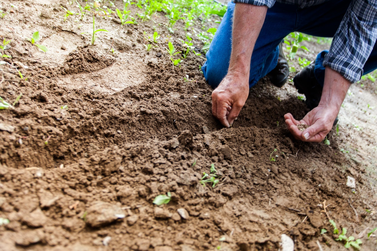 Zusammenhang zwischen Berufsunfähigkeitsversicherung und Gartenarbeit